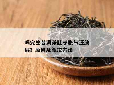 普洱茶饮用后出现肚疼现象的原因及解决方法全面解析