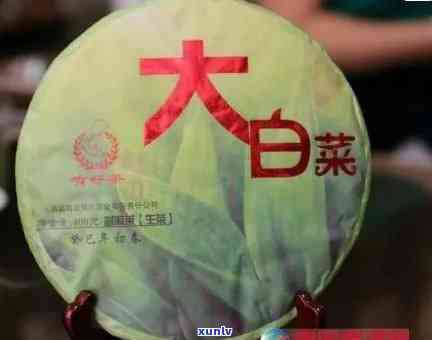 普洱茶大白菜和小白菜：品种区别、口感特点及适合的饮用场景全方位解析