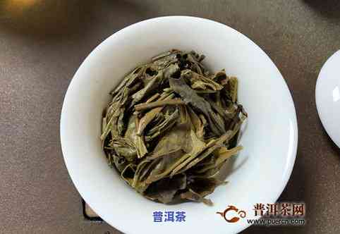 普洱茶大白菜和小白菜：品种区别、口感特点及适合的饮用场景全方位解析