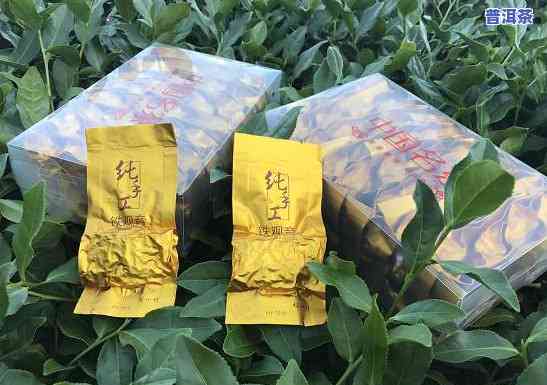 春伦名茶价格解析：一斤多少钱？品质如何？适合哪些人群？