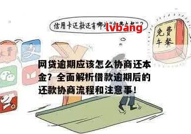 逾期代偿后成功还款：处理步骤与建议