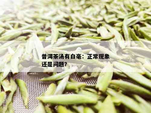 白点现象：解析普洱茶中的白毫，了解普洱茶的独特风味