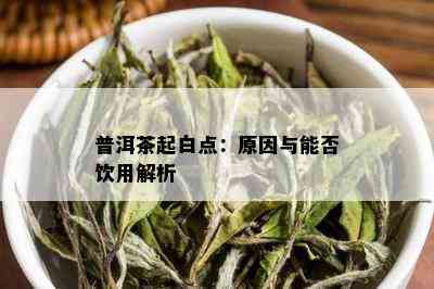 白点现象：解析普洱茶中的白毫，了解普洱茶的独特风味