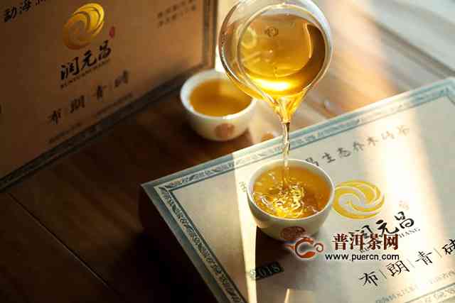 马哥深度解析：普洱茶的文化、品质与饮用技巧，你真的懂吗？