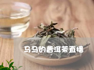 马哥说普洱茶什么意思呀