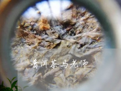 马哥说普洱茶什么意思呀