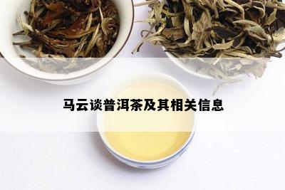 马哥说普洱茶什么意思呀