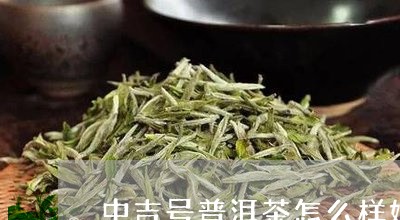 中吉号大叶种普洱茶好吗？是否值得购买？