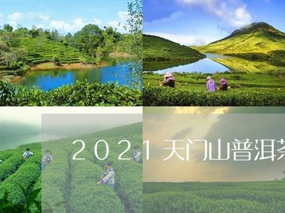 2021年天门山普洱茶价格表，2021年天门山普洱茶口味特点和价格