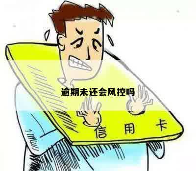 没有逾期被风控了怎么办