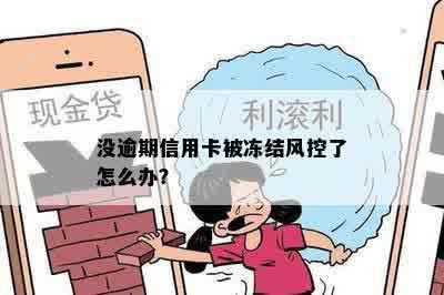 没有逾期被风控了怎么办