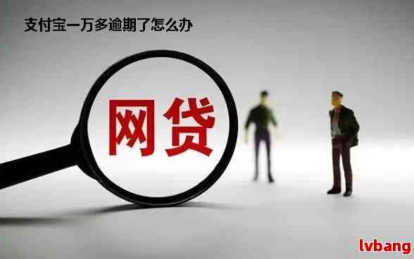 网商贷逾期3年20万元：解决策略、影响与可能的解决方案全面解析