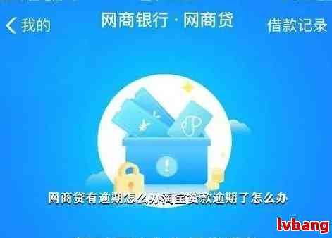 网商贷逾期3年20万元：解决策略、影响与可能的解决方案全面解析