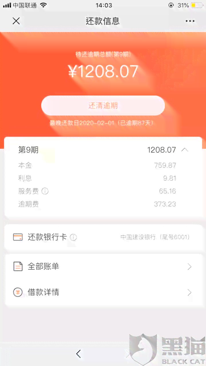 还款策略：频繁按时还款的影响与优化建议