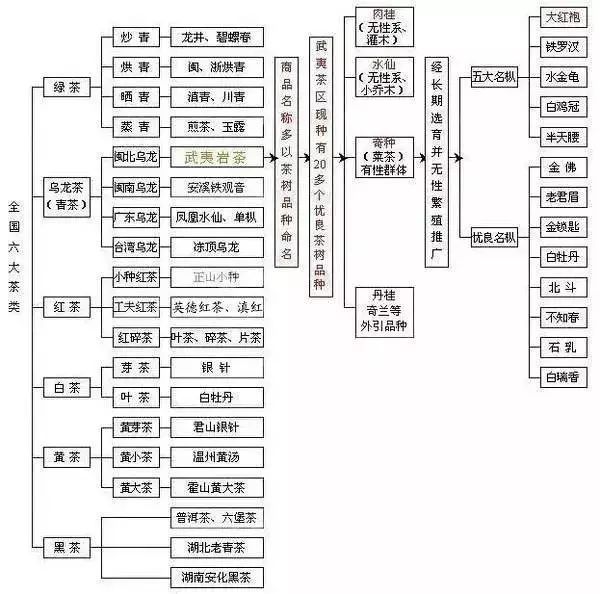 普洱茶全球知名度排行榜：权威指南揭示茶叶世界的佼佼者