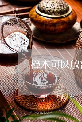 香樟木与普洱茶的搭配：是否合适？如何选择？