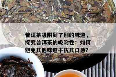 普洱茶的名称是什么意思？普洱茶名大全及代表。