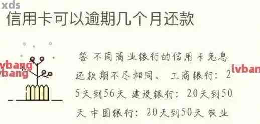 信用卡还款后第二天到账：原因、时间及影响全面解析