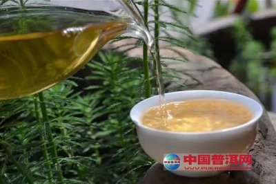 雨节茶叶存技巧：如何确保新茶的新度与口感