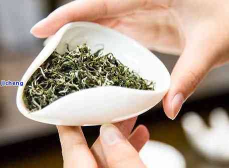 雨节茶叶存技巧：如何确保新茶的新度与口感