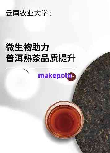 普洱茶的菌群转化率高吗？为什么？