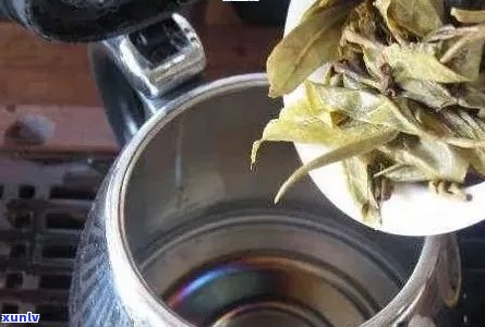 普洱茶蒸煮技巧全面解析：如何正确蒸煮普洱茶以获得口感与效果