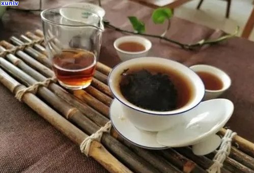 探索生普洱茶的煮饮之道：搭配与技巧，让口感更出众