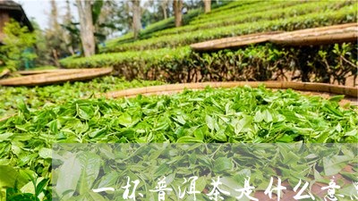 来一杯普洱茶吧什么意思？英文网络用语解释及其含义