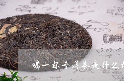 来一杯普洱茶吧什么意思