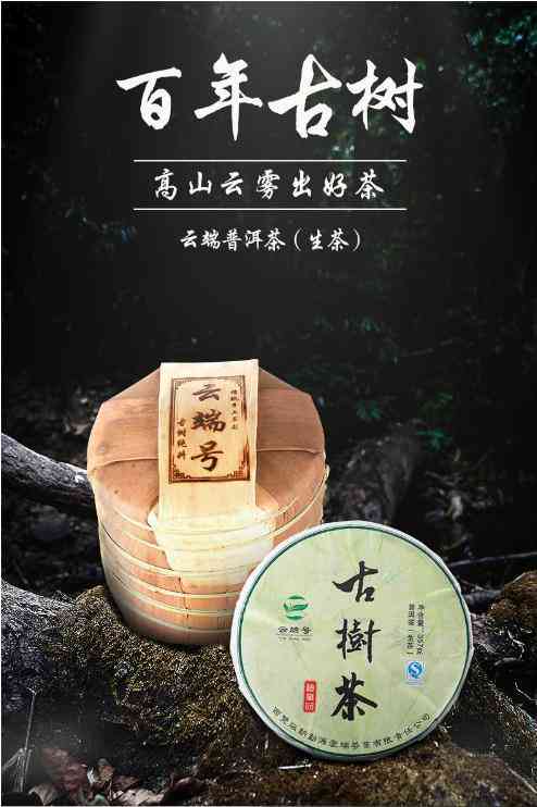 云南特产100元纯正普洱茶：古树茶香浓，健生活从此开始