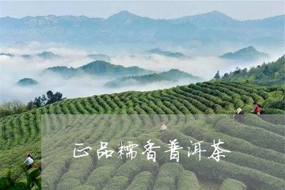 平价糯香普洱茶是真的吗