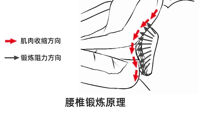 腰部热敷对肾脏的影响：科学研究与误解解析