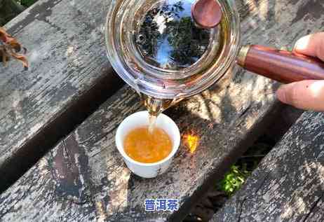 熟普洱茶煮还是泡：哪个更好？