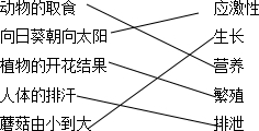 沼泽石的成分、特性和用途是什么？