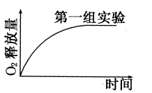 沼泽石的成分、特性和用途是什么？