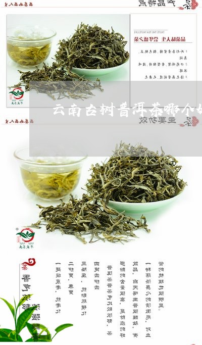 合古树普洱茶怎么样