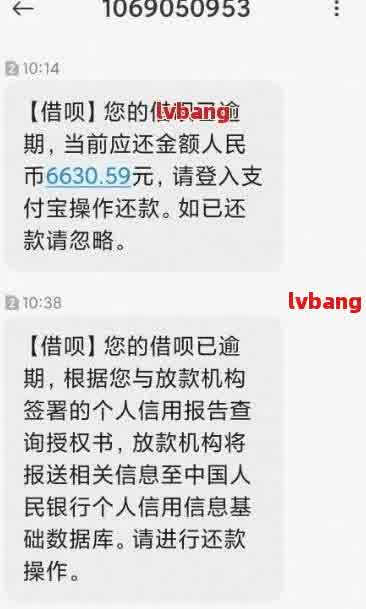 贷款未逾期信用记录正常，但为何无法借款？收到逾期短信该如何处理？