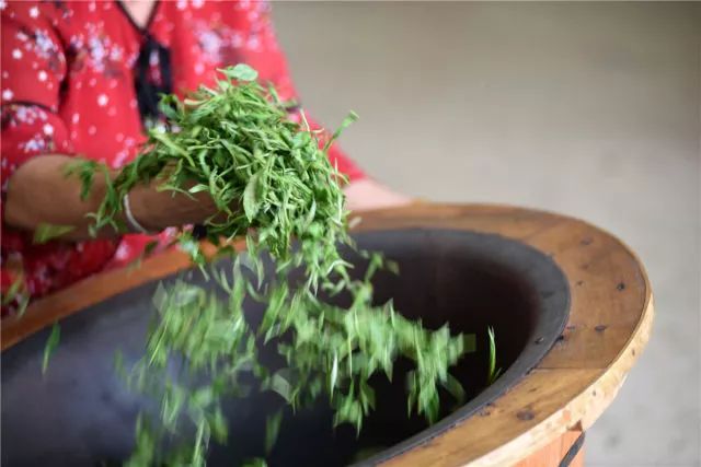 普洱茶哪一款好喝又香的