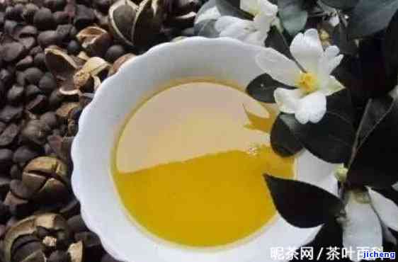 茶油在普洱茶中的运用：效果如何？如何鉴别优质茶油？一文解析