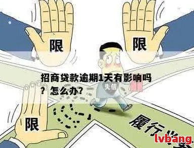 招行小微抵押贷款逾期一天的后果及解决办法，全面解答您的疑虑