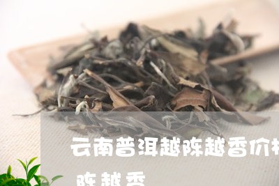 易中祥普洱茶越陈越香吗