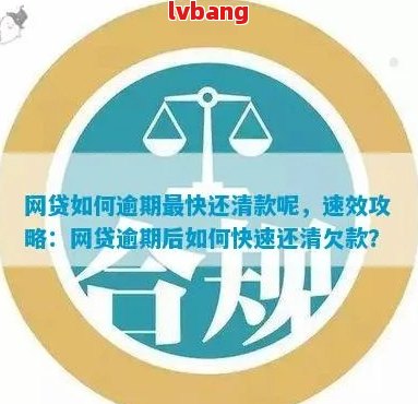 网捷贷3天宽限期：了解还款期详情及适用条件，确保按时还款免罚息！