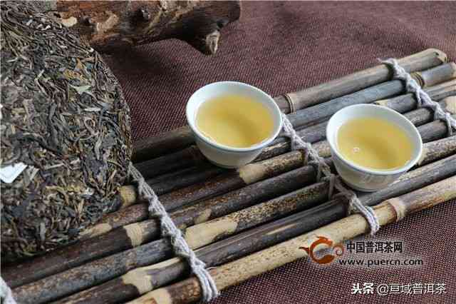 十年陈普洱茶与新茶有何区别？如何品尝和保存以保持其品质？