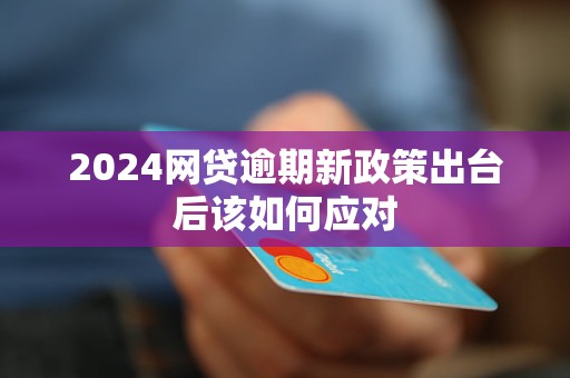 网贷逾期新政策今年出台：详情与影响全解析