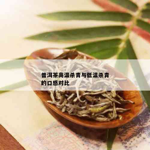 普洱茶四大号是什么茶叶名称