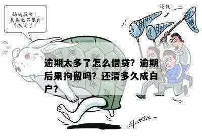 为什么逾期了是白户呢