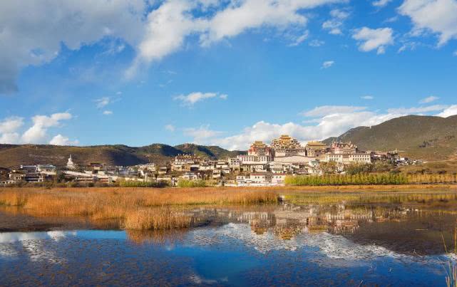 10年陈年古树普洱茶：雪山原产地，醇厚口感，珍贵收藏品