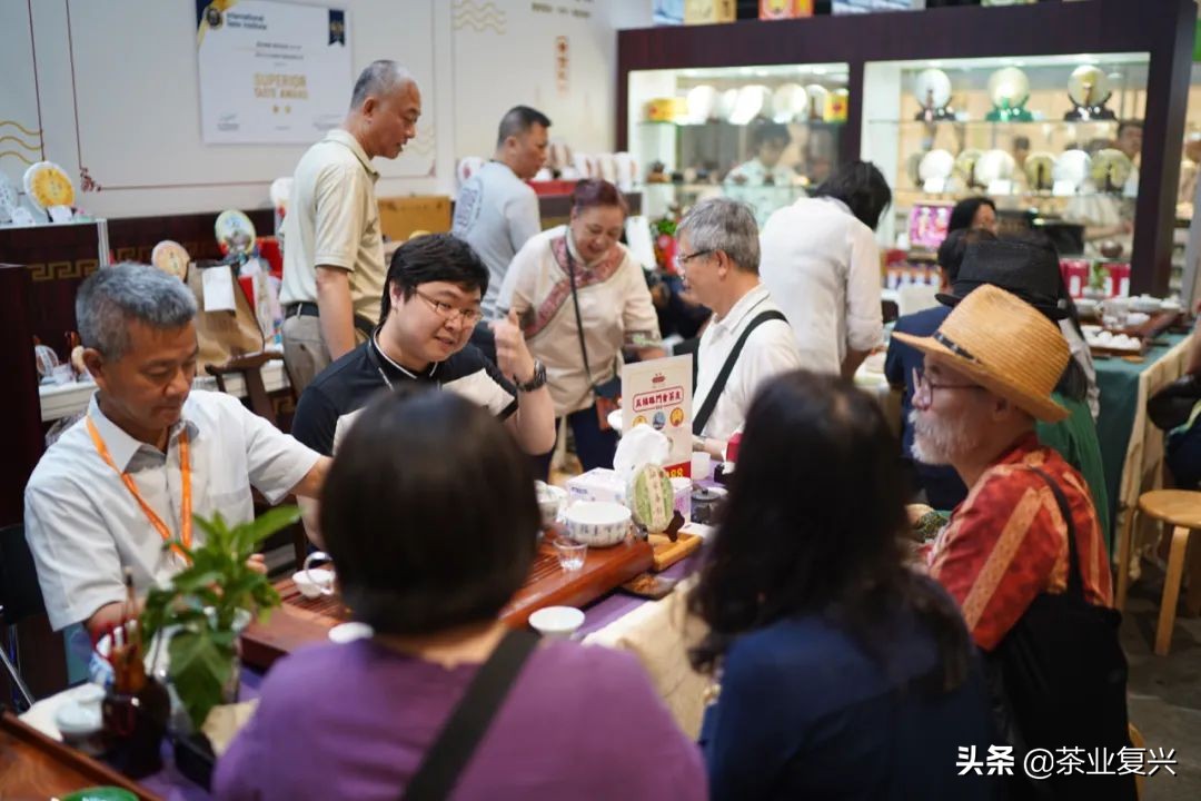 普洱茶什么牌子的比较好：品质、口感、性价比等多方面评价，助你选好茶。