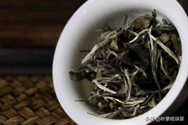 白茶属于啥茶系列与种类：解答所有关于白茶的问题