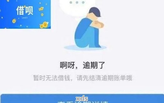 省呗还款逾期后补救措：第二天立即还款如何操作？